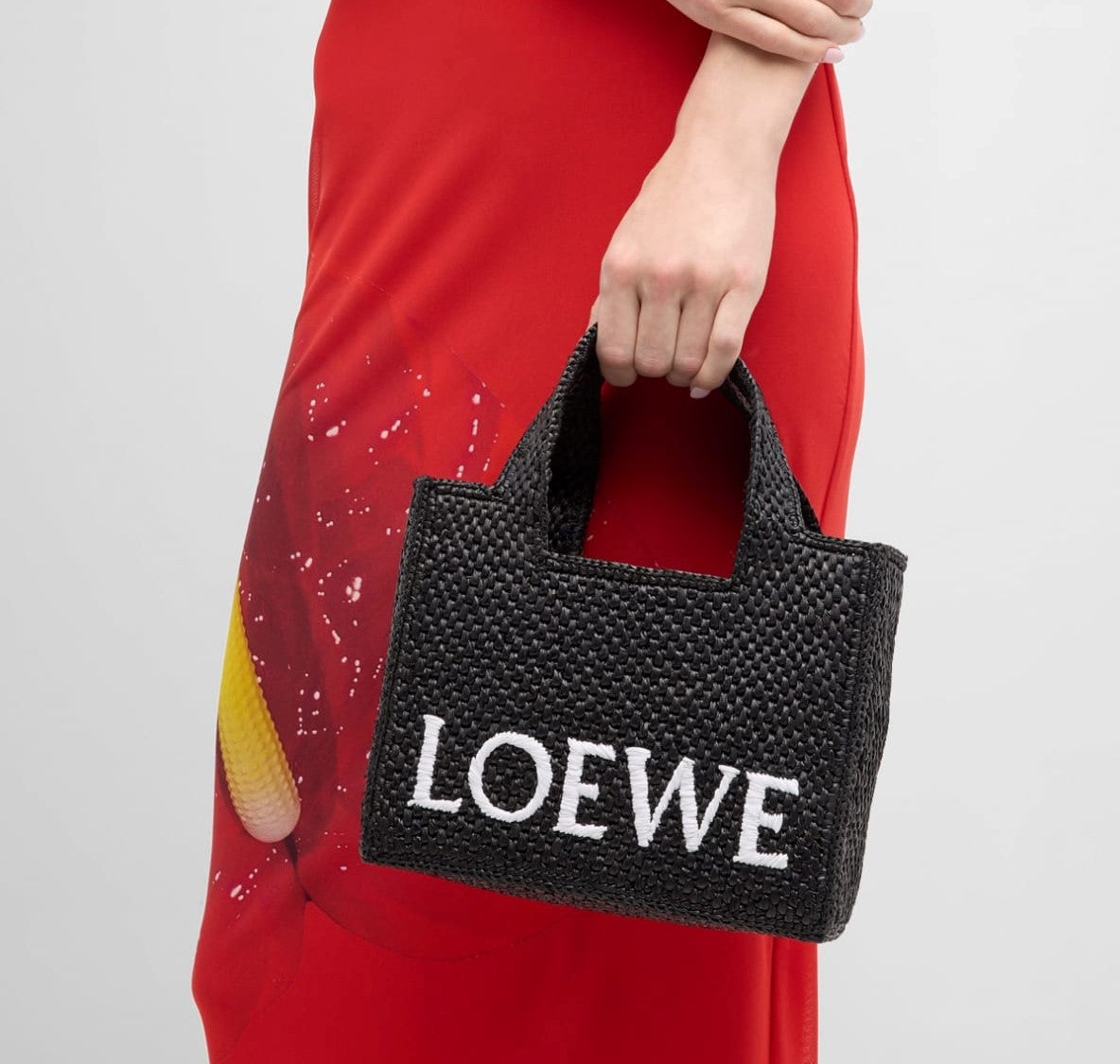 Loewe Bags