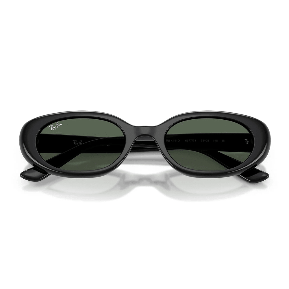 Ray-Ban RB4441D 667771 Sunglasses Cat-Eye